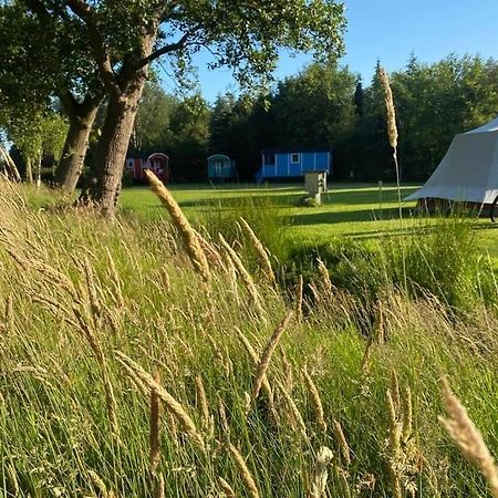 Pipowagens Bij Pannenkoekenrestaurant & Camping De Koppenjan 'Een Uniek Verblijf Met Kinderspeelboerderij' Jubbega-Schurega Esterno foto