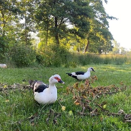 Pipowagens Bij Pannenkoekenrestaurant & Camping De Koppenjan 'Een Uniek Verblijf Met Kinderspeelboerderij' Jubbega-Schurega Esterno foto