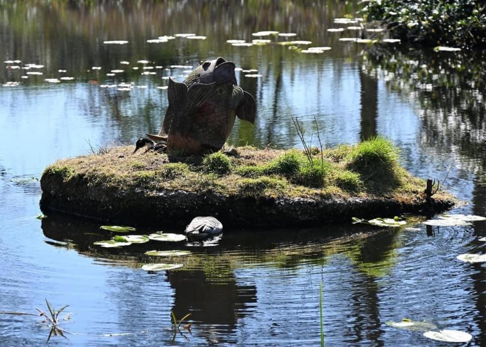 Pipowagens Bij Pannenkoekenrestaurant & Camping De Koppenjan 'Een Uniek Verblijf Met Kinderspeelboerderij' Jubbega-Schurega Esterno foto